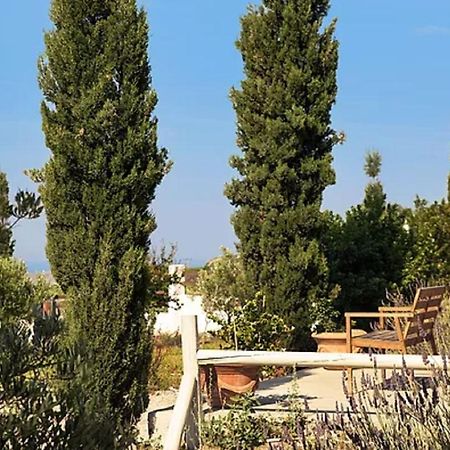 Christou Estate & Villas Pýrgos المظهر الخارجي الصورة